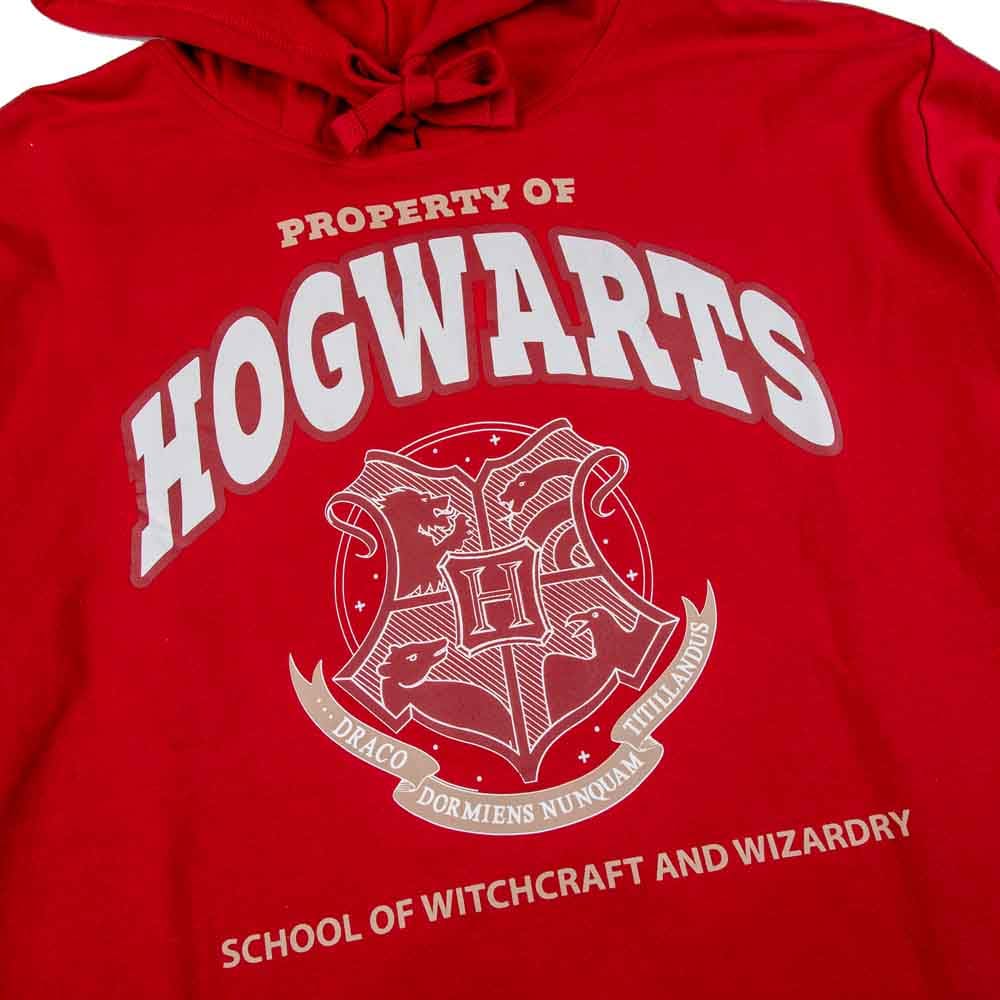 Harry Potter Hogwarts Alumni Hoodie & Jogger Set - Clothing